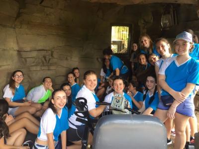 Disney - Grupo 01