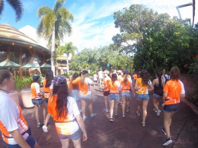 Disney - Grupo 01