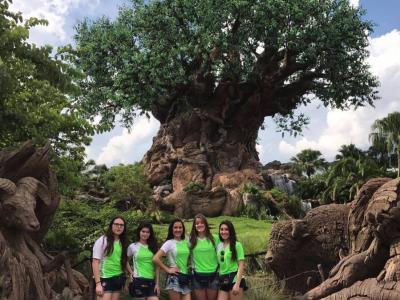 Disney - Grupo 03