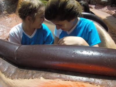 Disney - Grupo 02