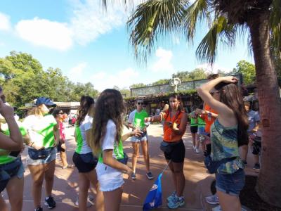 Disney - Grupo 01