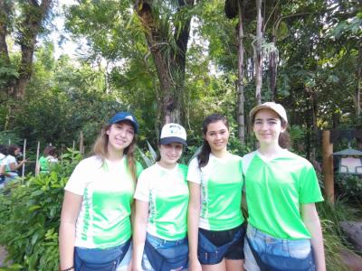 Disney - Grupo 01