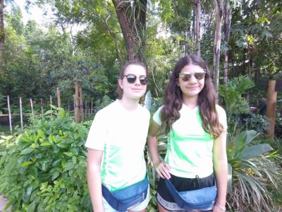 Disney - Grupo 01