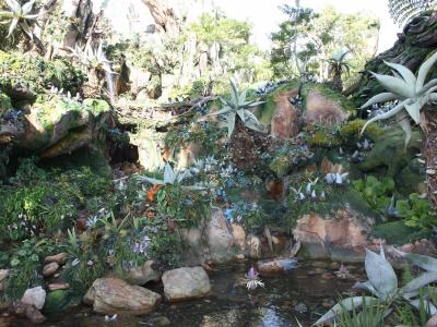 Disney  - Grupo 01
