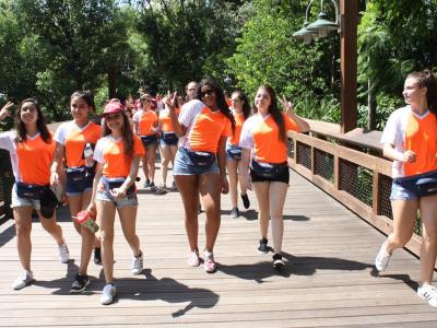 Disney  - Grupo 01
