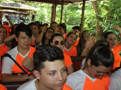 Disney  - Grupo 01