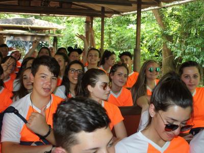 Disney  - Grupo 01