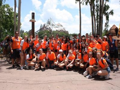 Disney  - Grupo 01