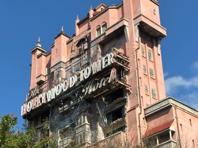 Disney Janeiro 2025