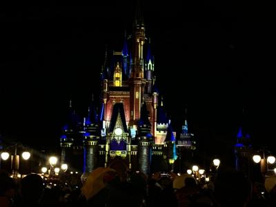 Disney Janeiro 2024